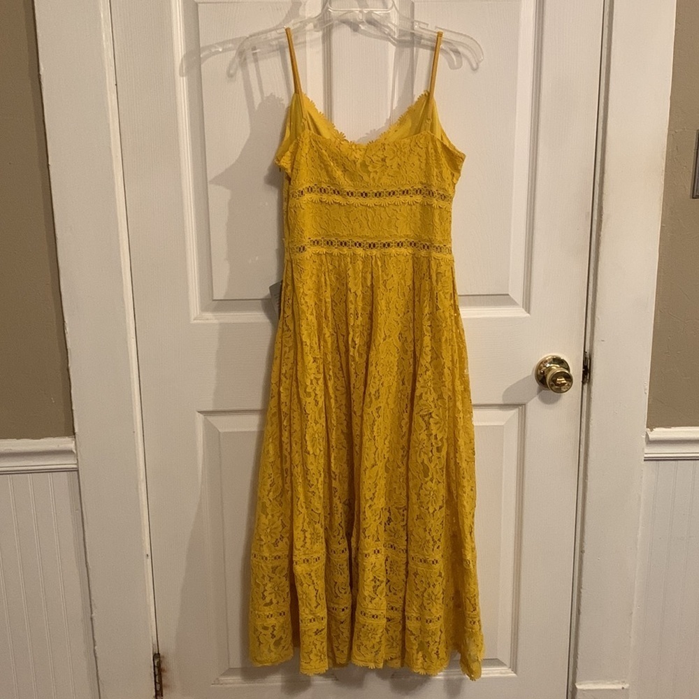 NEW NSR Lace Midi Dress - Picture 2 of 16